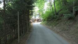 foto escursione